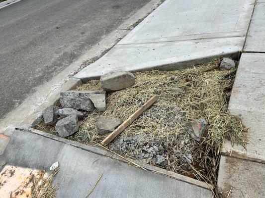 Lush grass seed planted over rocks. This will definitely grow.