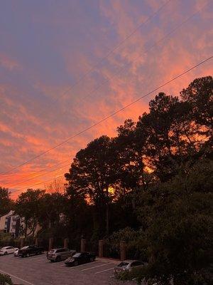 Meridian Sutton Square