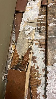 Reel Restoration Contractors