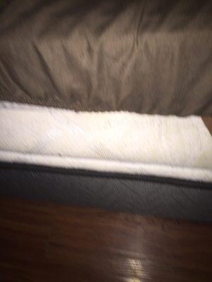 Trends Hair Styling Salon