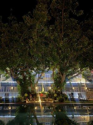 Beautiful garden area by the pool!!