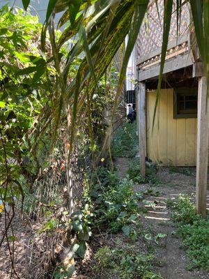 Polviado Junk Removal