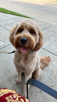 Rigsby Veterinary Clinic