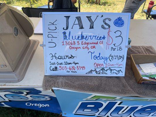 Jay's Blueberries