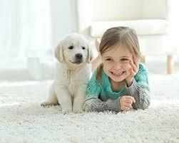 Crispy Clean Carpet & Tile Cleaning