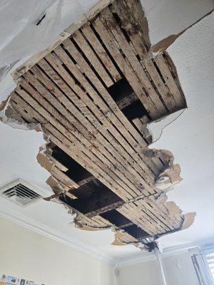 My friends mothers house looks like this on the entire first floor. The real thing is actually worse. They left her high and dry.