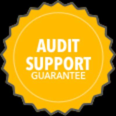 Year round audit support !