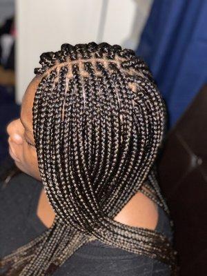 Box Braids (side view)