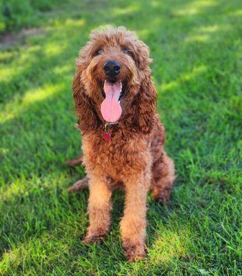 Sun Prairie Pet Clinic, Inc
