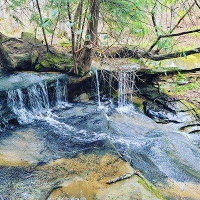 Mountain Song Midwifery