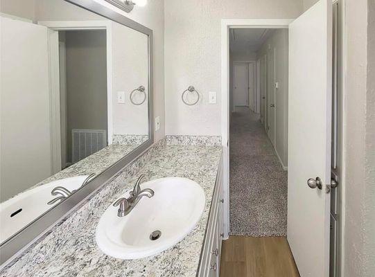 Iguana Paint & Restoration