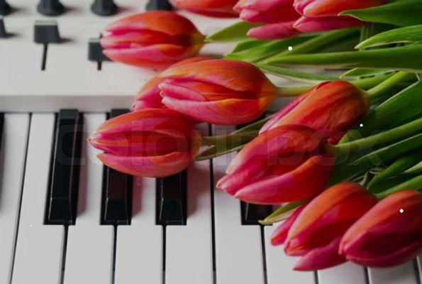 Piano Classes By Gaye Brewer