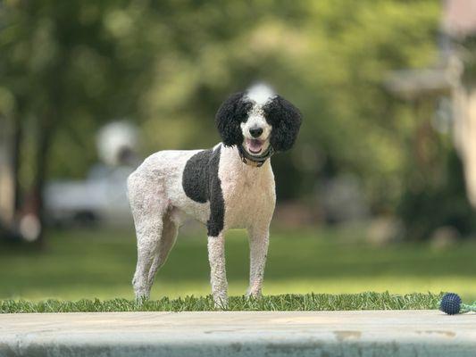 Erica Lanning - Weichert Realtors