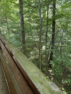 Secluded River Cottage
