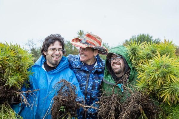 Hempstock Pharms Formulation Center