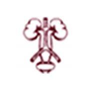 Bay Area Urology Inc