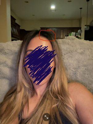 Photo sent to Mel after the color appt