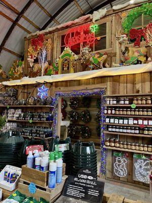 Payne Christmas Trees