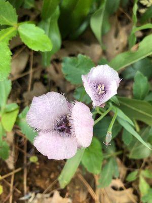 Lakeshore East Campground