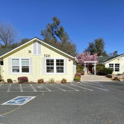 Learning Jungle - Lincoln