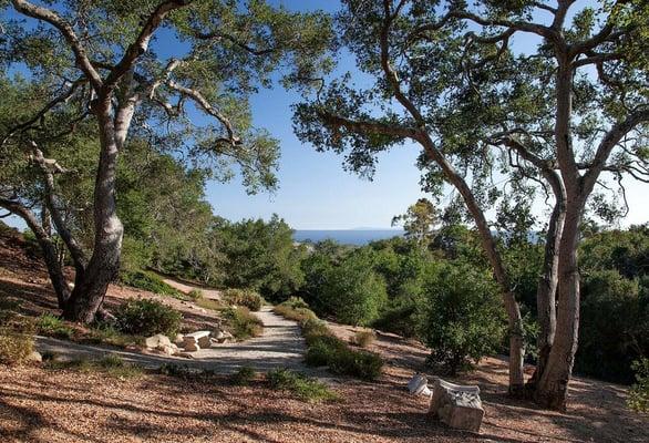 Montecito Landscape