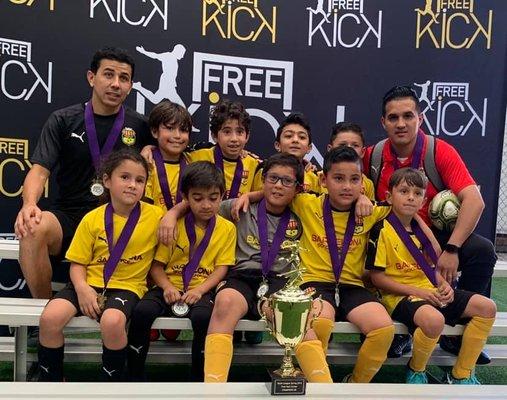 Free Kick League Champions