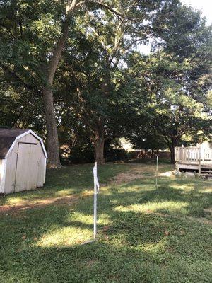 Davey Jones Tree Service