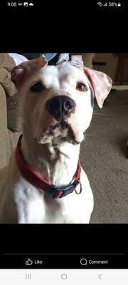 Double A Junk Removal