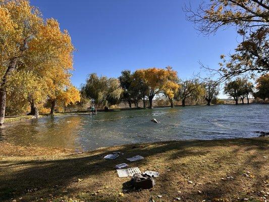 Beautiful pond across from our campsite.