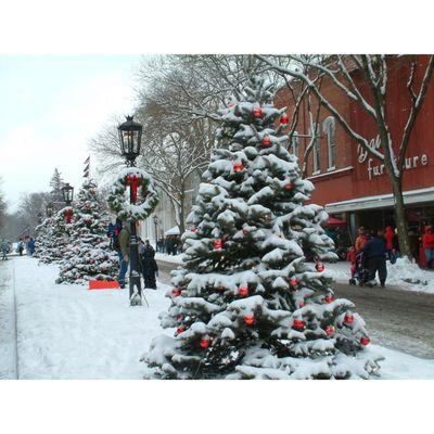 Tioga County Visitors Bureau