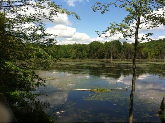 Woodbourne Forest & Wildlife Preserve