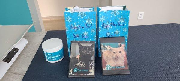 Goodie bags and pictures of my cats from today