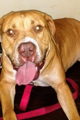 B Home Away From Home