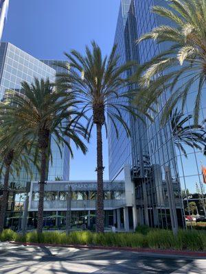 Law Office Of Cyrus Mor