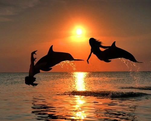 Lakalani Holistic Retreat & Spa