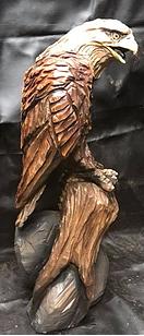Once Upon A Log