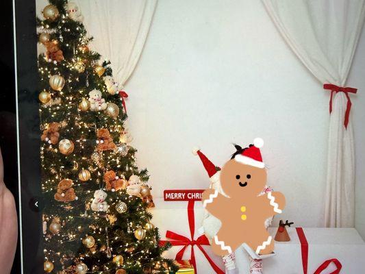 Christmas 2025 background. I think the curtains are now red