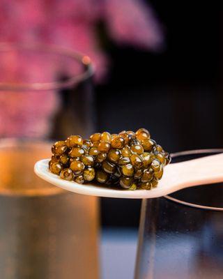 Seven Seas Gourmet Foods