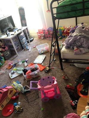 The Brown’s Cleaning Crew