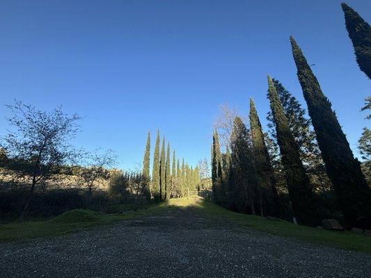 Renaissance Vineyard & Winery