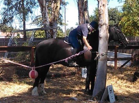 Having fun and learning at AStable Named Desire.