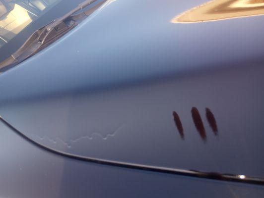 JJ Customs and Upholstery