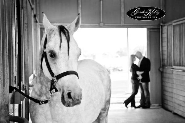 Gordon Kelly Photography