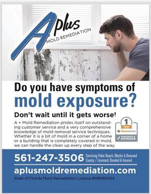 A Plus Mold Remediation