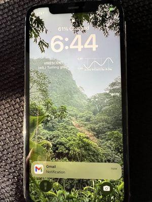 Mobile iPhone Repair Vista