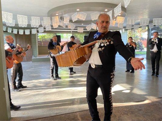 Wine Country Gardens