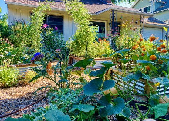 PNW Permaculture & Garden