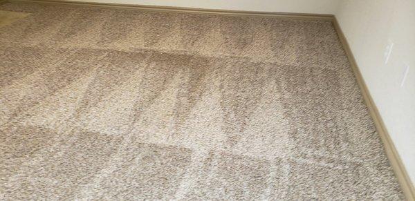 Jetty Carpet Cleaning