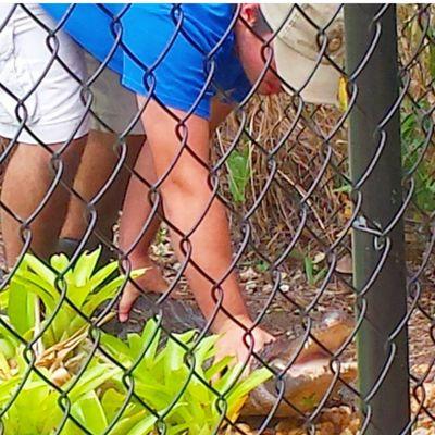 Smith Scales & Tails Rescue and Sanctuary