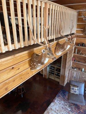 Cow Creek Taxidermy & Game Processing